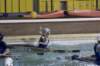 img_0084_small.jpg
